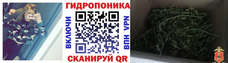 Магазины продажи наркотиков Псков Гашиш  COCAIN  Галлюциногенные грибы  БУТИРАТ  МЕФ 