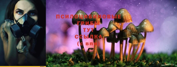 прущая мука Абинск