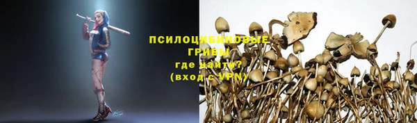гашиш Абаза